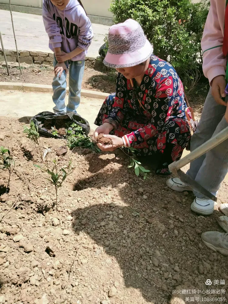 绿美校园——播种希望